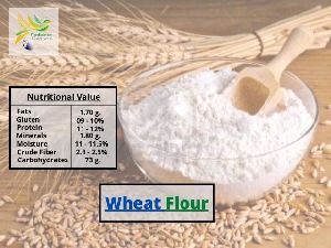 Wheat & Wheat Flour