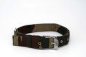 Dog Military Collars