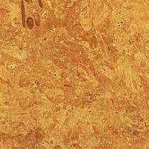 Flowery Gold sandstone