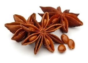 Star Anise Seeds