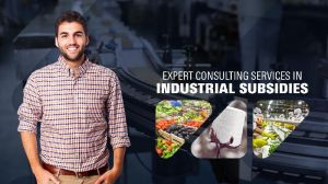 Industrial Subsidies Consultation Service