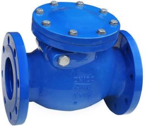 Cast Iron Non Return Valve