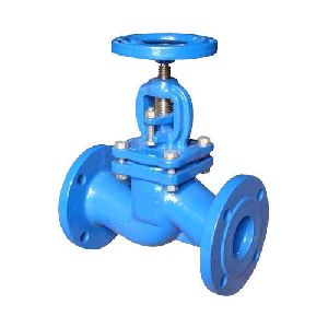 Globe Valve