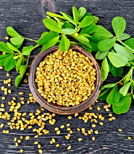 Fenugreek