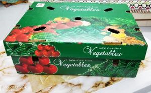 Vegetable Packaging Box