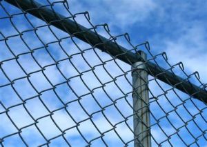 Chain Link Fence