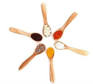 Wooden Masala Spices Set of 6 Spoon