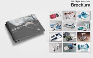 Brochure Printing Services