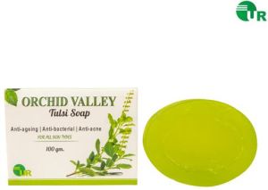 OV TULSI SOAP