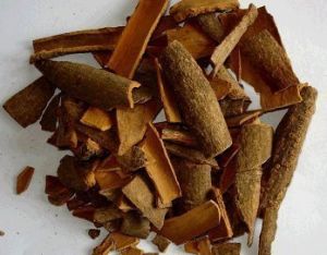 Cinnamon Bark Extract