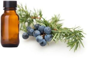 Juniper Berry Oil