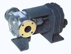 Internal Gear Pump