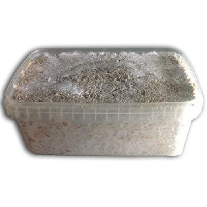 Mycelium Grow Kit