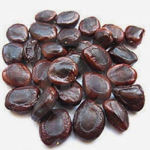 Tamarind Seed