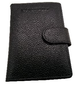 Passport Holder