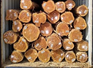Teak Wood Logs