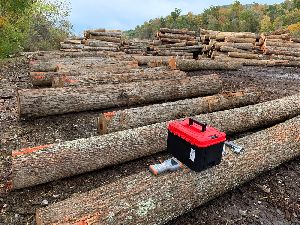Hickory Wood Logs