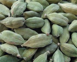 Cardamom