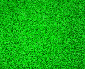 Green Detergent Speckle