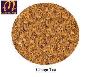 Chaga mushroom tea