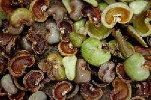 Cashew Nut Shell