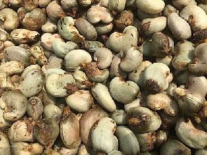 Raw Cashew Nut