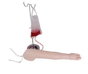 Intravenous Injection Arm Model