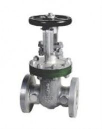 IBR Gate Valve