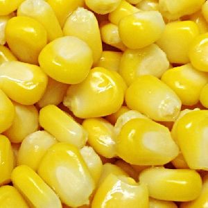American Corn