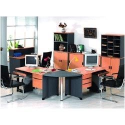 Professional Office Workstation