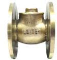 Gun Metal Check Valve