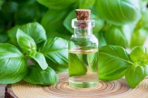 Basil Oil