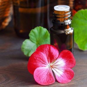 Geranium Oil