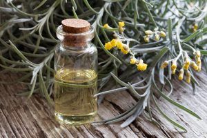 Helichrysum Oil