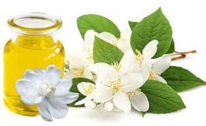 Jasmine Oil