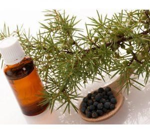 Juniper Berry Oil