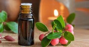 Wintergreen Oil