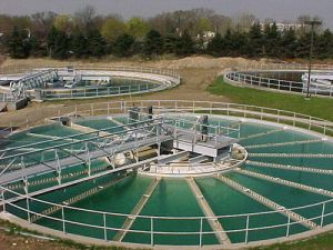 Sewage Treatment Plant