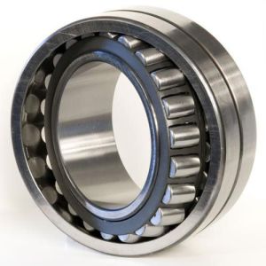 Stainless Steel Bearing