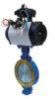 Butterfly Valve