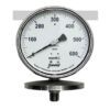 Diaphragm Sensing Pressure Gauge