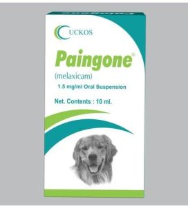 Paingone Melaxicam Oral Suspension