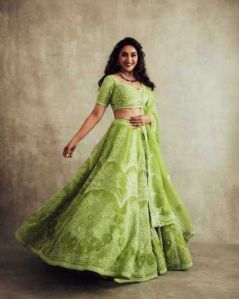 Heavy Net Lehenga Choli