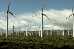 Surge Protection Device For Wind Power