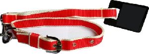 Dog Collar Plastic