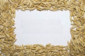 oats grains