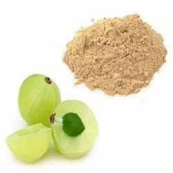 Amalaki Extract Powder