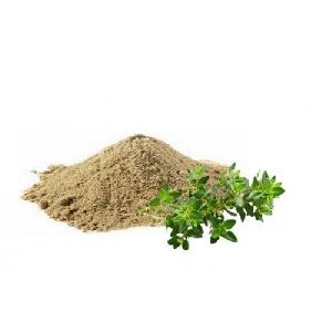 Brahmi Extract Powder