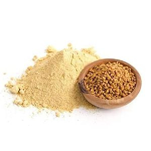 Fenugreek Seeds Extract Powder
