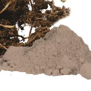 Nagarmotha Extract Powder